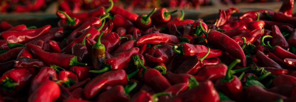 California Grown Chile Peppers