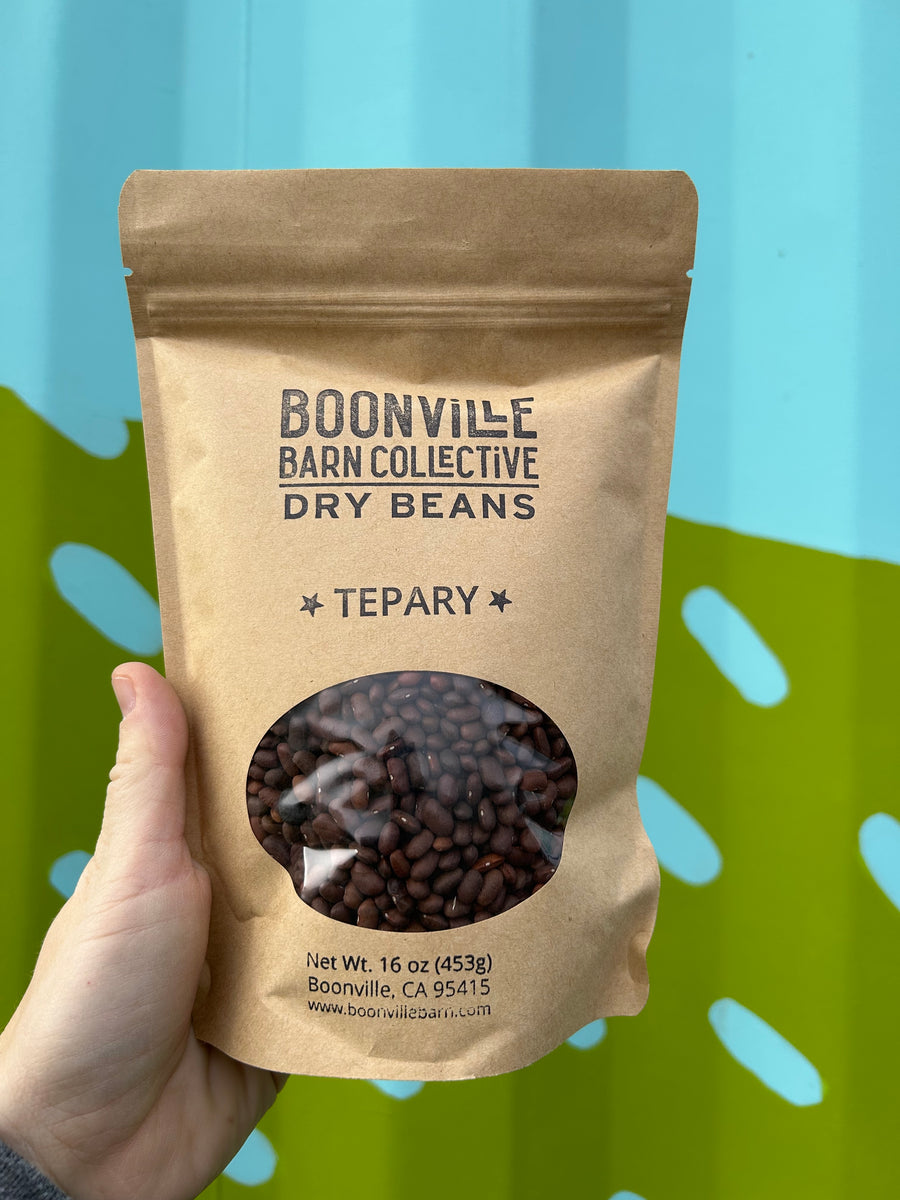 Brown Tepary Beans Boonville Barn Collective