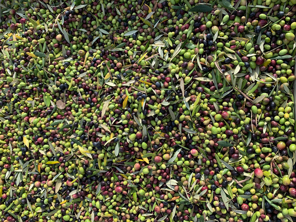 olives