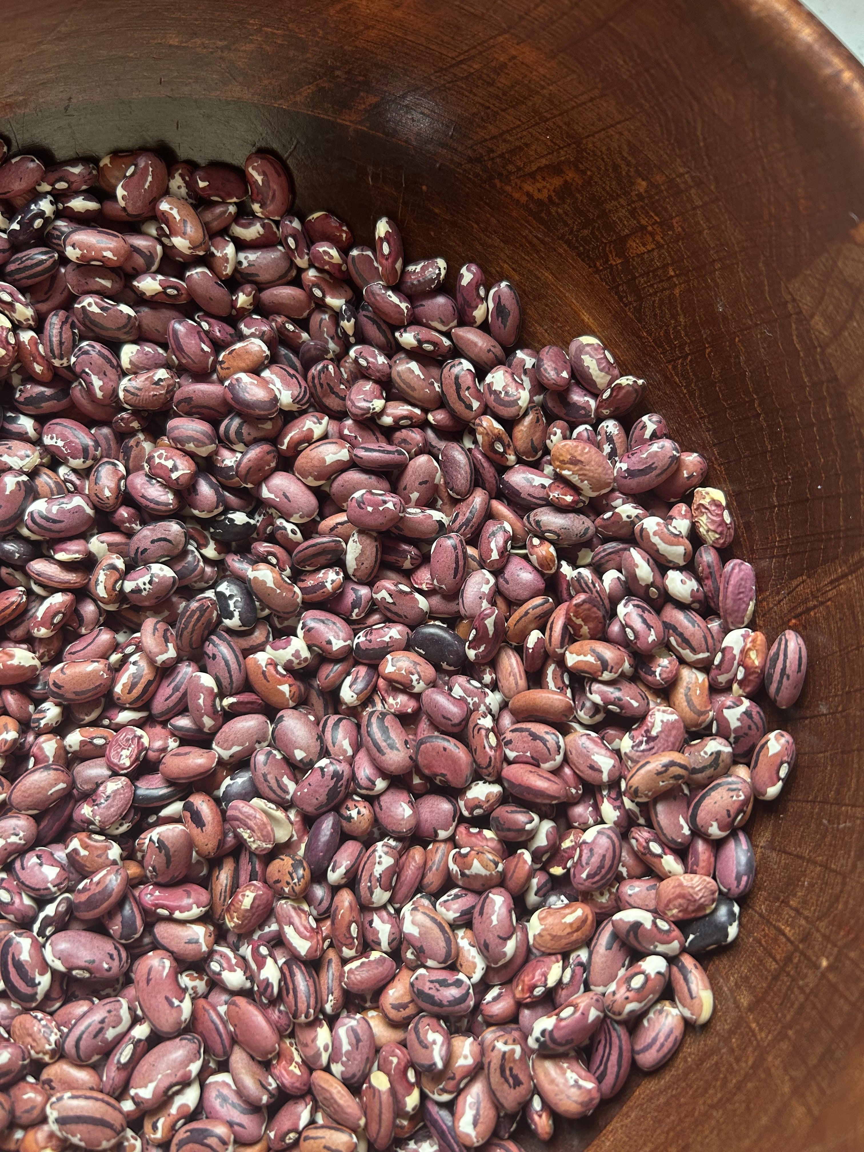How to cook Anazape Beans - Bean Month February 2025 – Boonville