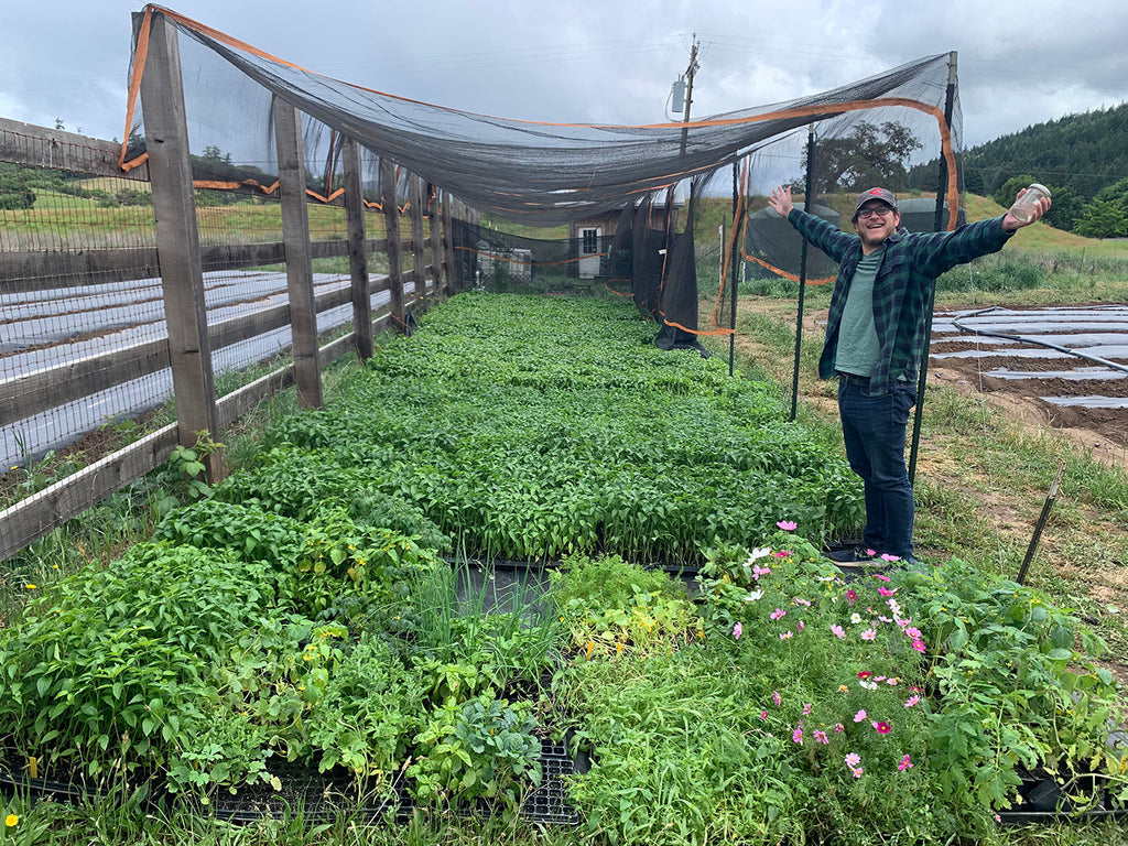 man with a lot of green plants