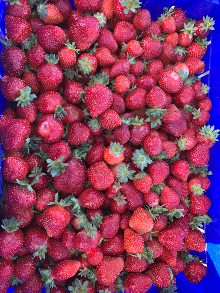 fresh strawberries