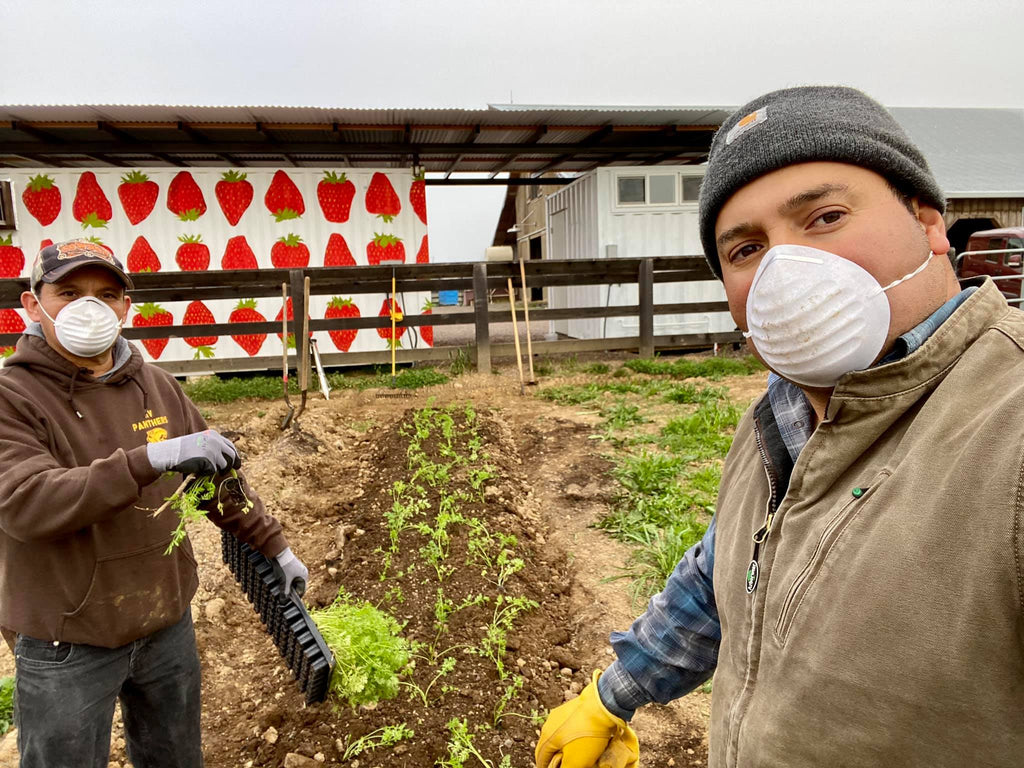 two men planting seeds