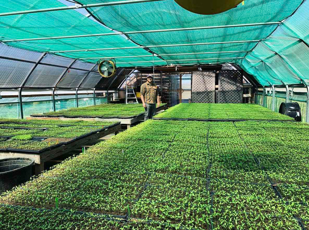 Boonville Farm in February and March