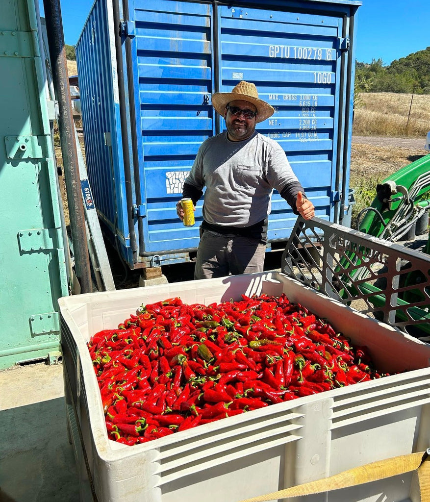 September and October at Boonville Farm