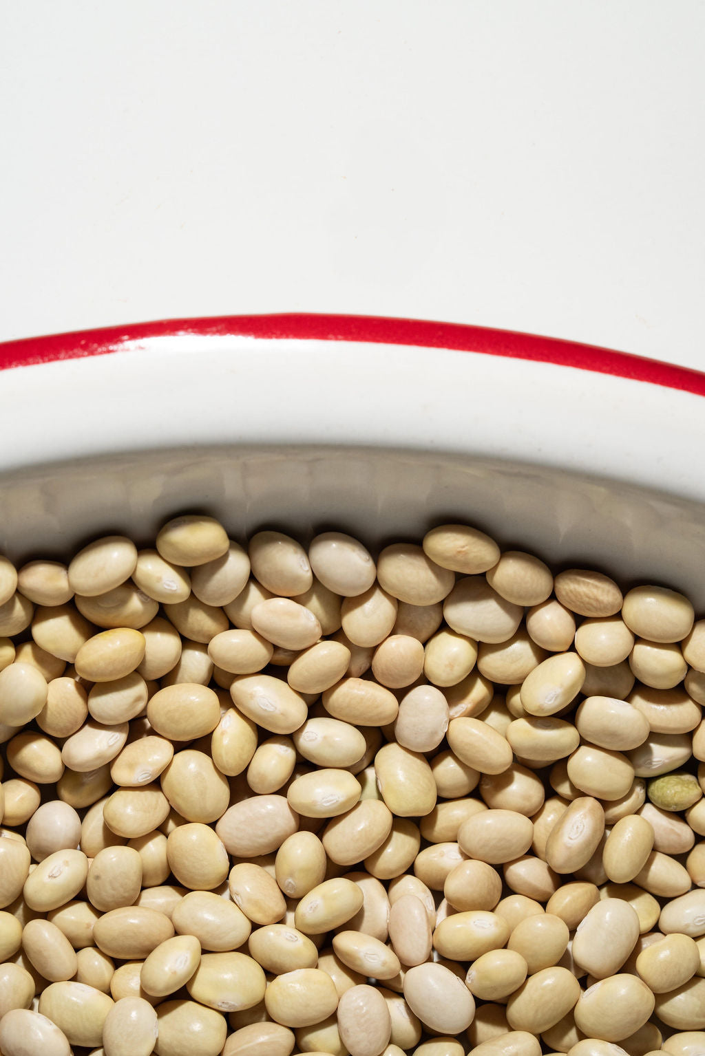 パーツ fuki beans Zolfini Beans – Boonville Barn Collective