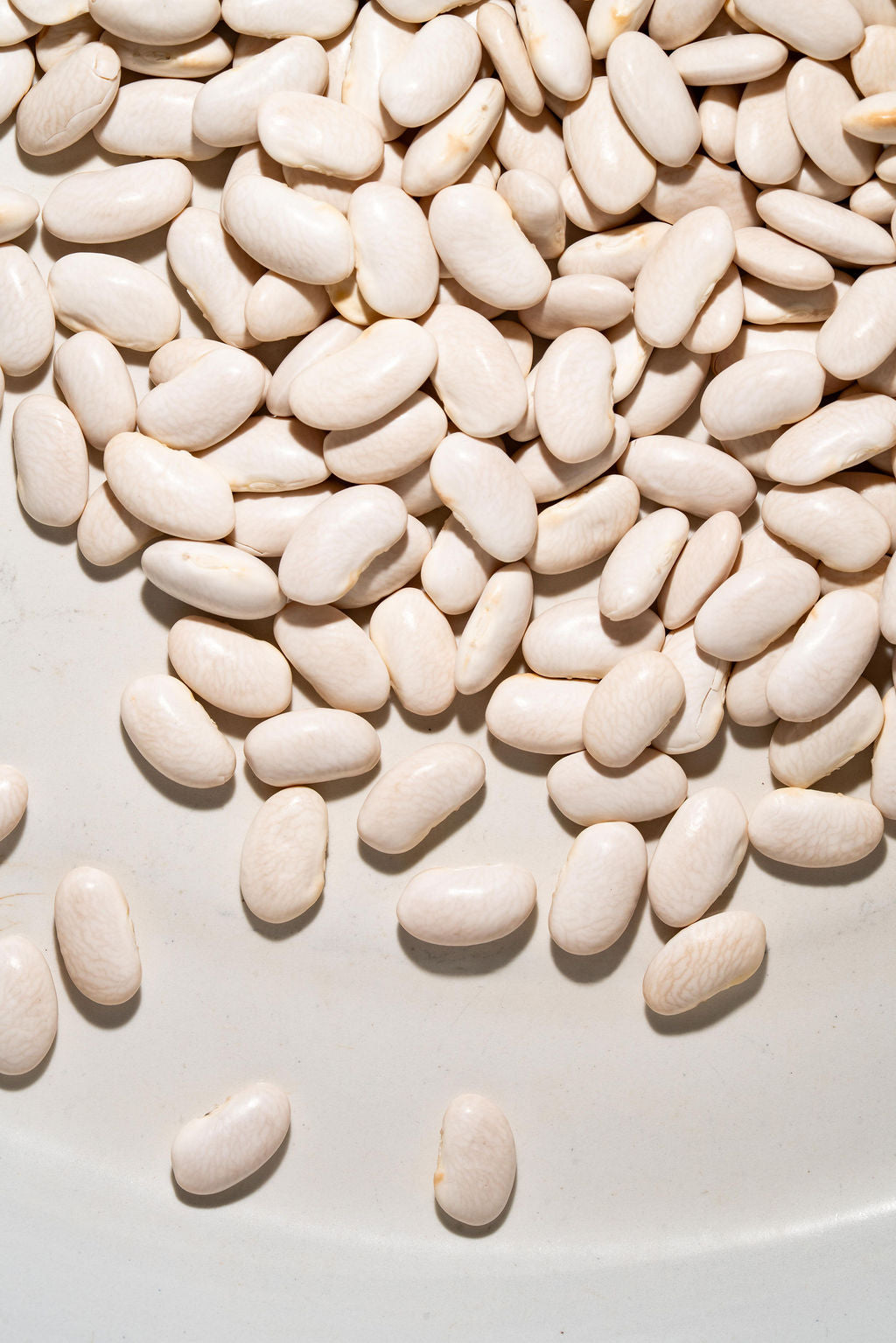 Sorana Beans – Boonville Barn Collective