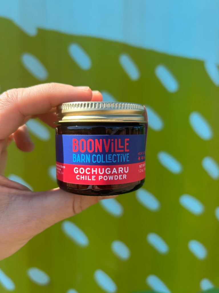 Hand holding a jar of Boonville Barn Collective Gochugaru Chile Powder against a green and blue patterned background